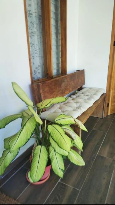 Manzanillo  Casa Paraiso מראה חיצוני תמונה