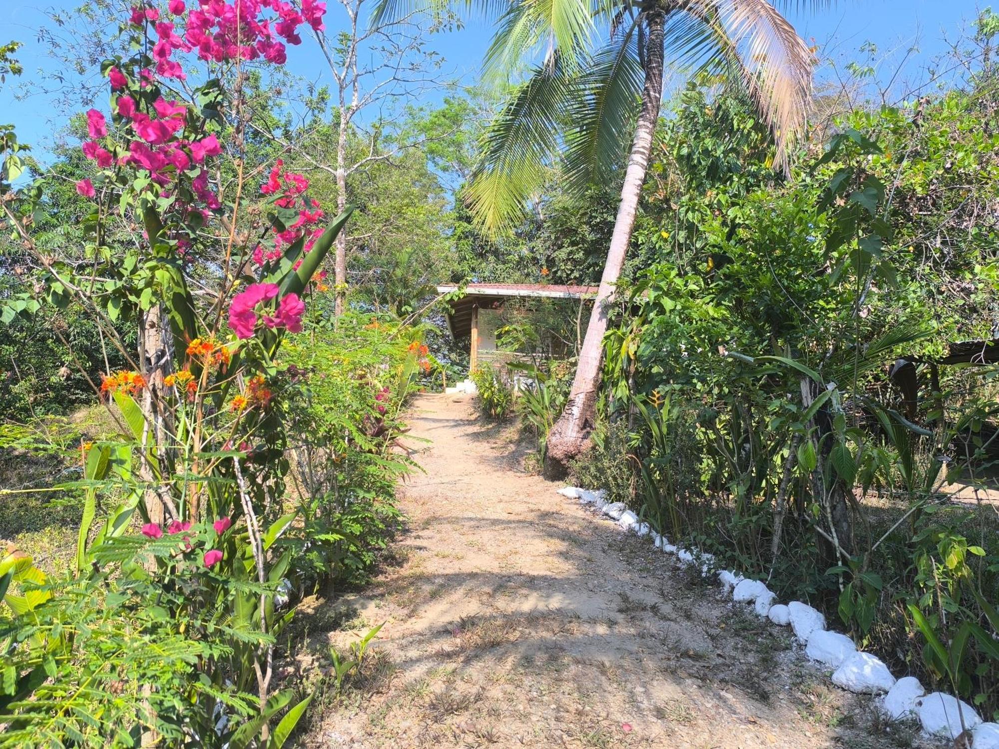 Manzanillo  Casa Paraiso מראה חיצוני תמונה